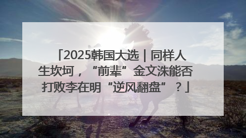 2025韩国大选｜同样人生坎坷，“前辈”金文洙能否打败李在明“逆风翻盘”？