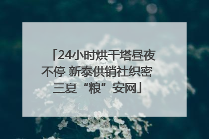 24小时烘干塔昼夜不停 新泰供销社织密三夏“粮”安网