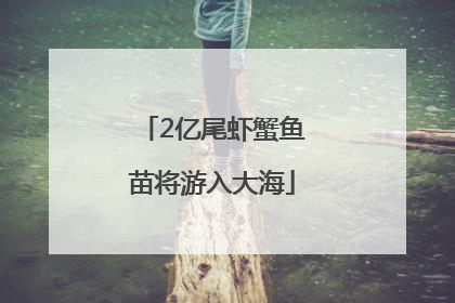 2亿尾虾蟹鱼苗将游入大海