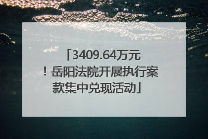 3409.64万元！岳阳法院开展执行案款集中兑现活动