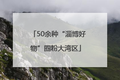 50余种“淄博好物”圈粉大湾区