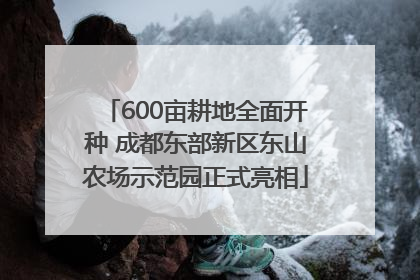 600亩耕地全面开种 成都东部新区东山农场示范园正式亮相
