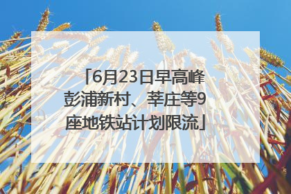 6月23日早高峰彭浦新村、莘庄等9座地铁站计划限流