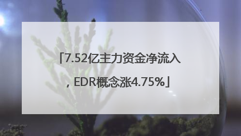 7.52亿主力资金净流入，EDR概念涨4.75%