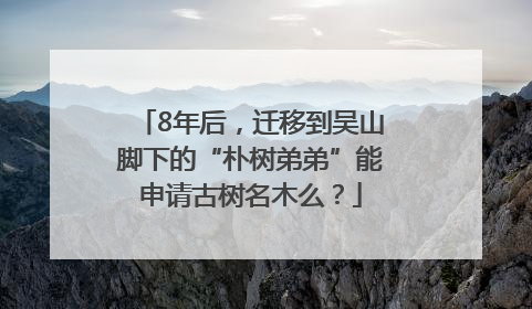 8年后，迁移到吴山脚下的“朴树弟弟”能申请古树名木么？