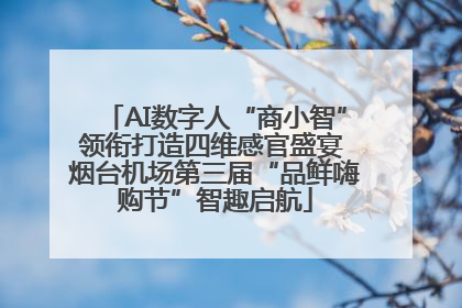 AI数字人“商小智”领衔打造四维感官盛宴 烟台机场第三届“品鲜嗨购节”智趣启航
