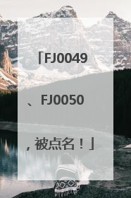 FJ0049、FJ0050，被点名！