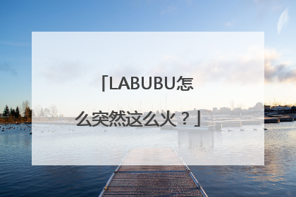 LABUBU怎么突然这么火？