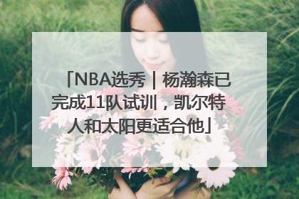 NBA选秀｜杨瀚森已完成11队试训，凯尔特人和太阳更适合他